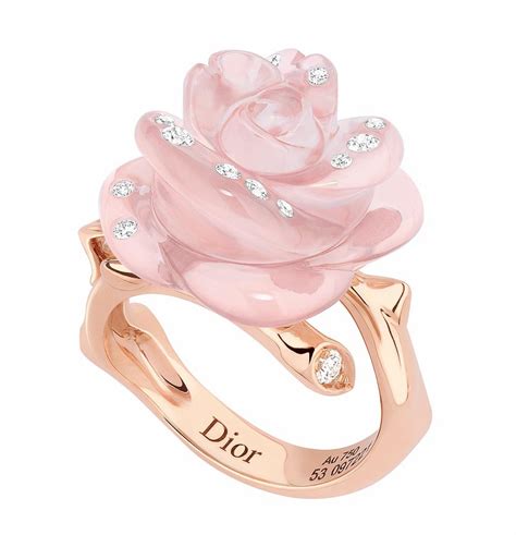rose dior pré catelan